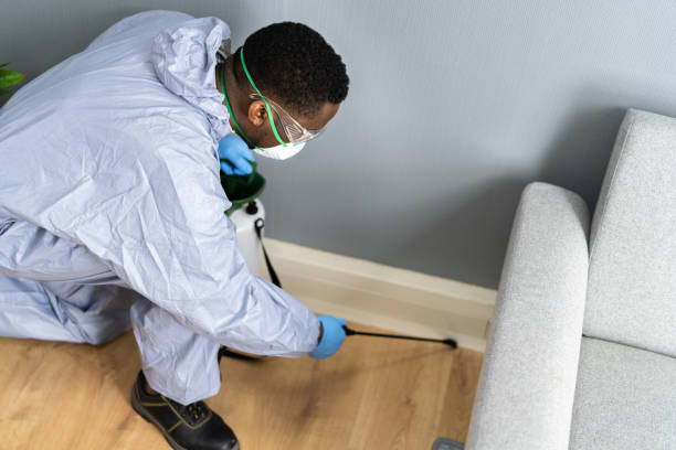 Real Estate Pest Inspections in Ithaca, NY